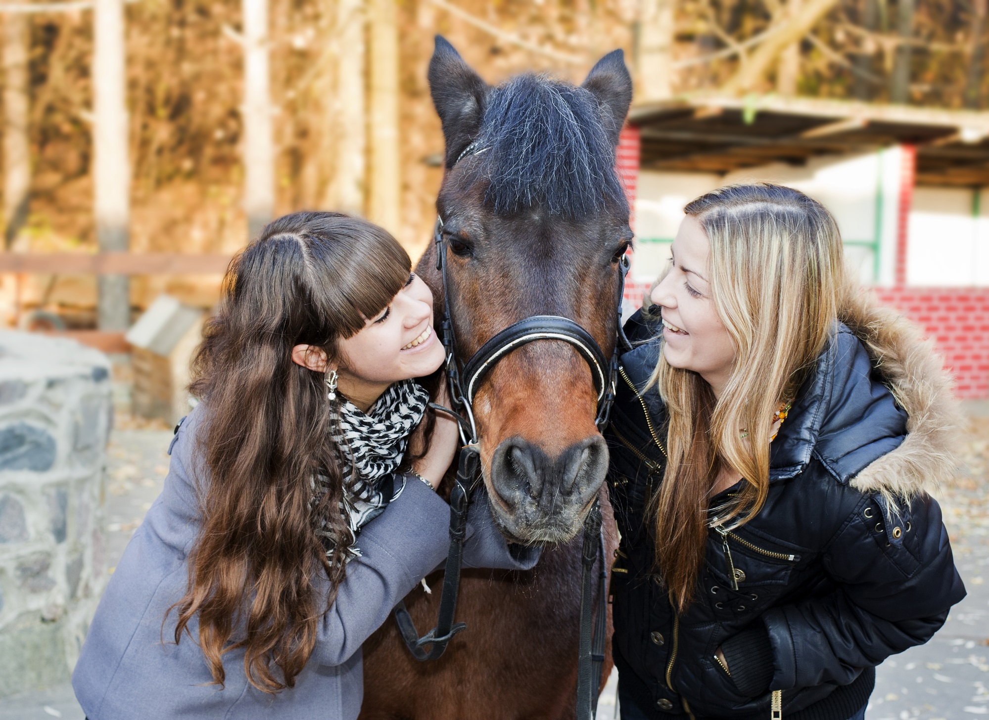 Die perfekte Vereinskleidung für den Reitstall finden und bedrucken lassen