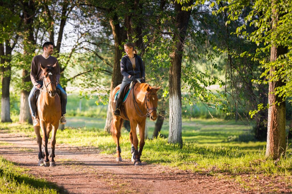 Die perfekte Vereinskleidung für den Reitstall finden und bedrucken lassen