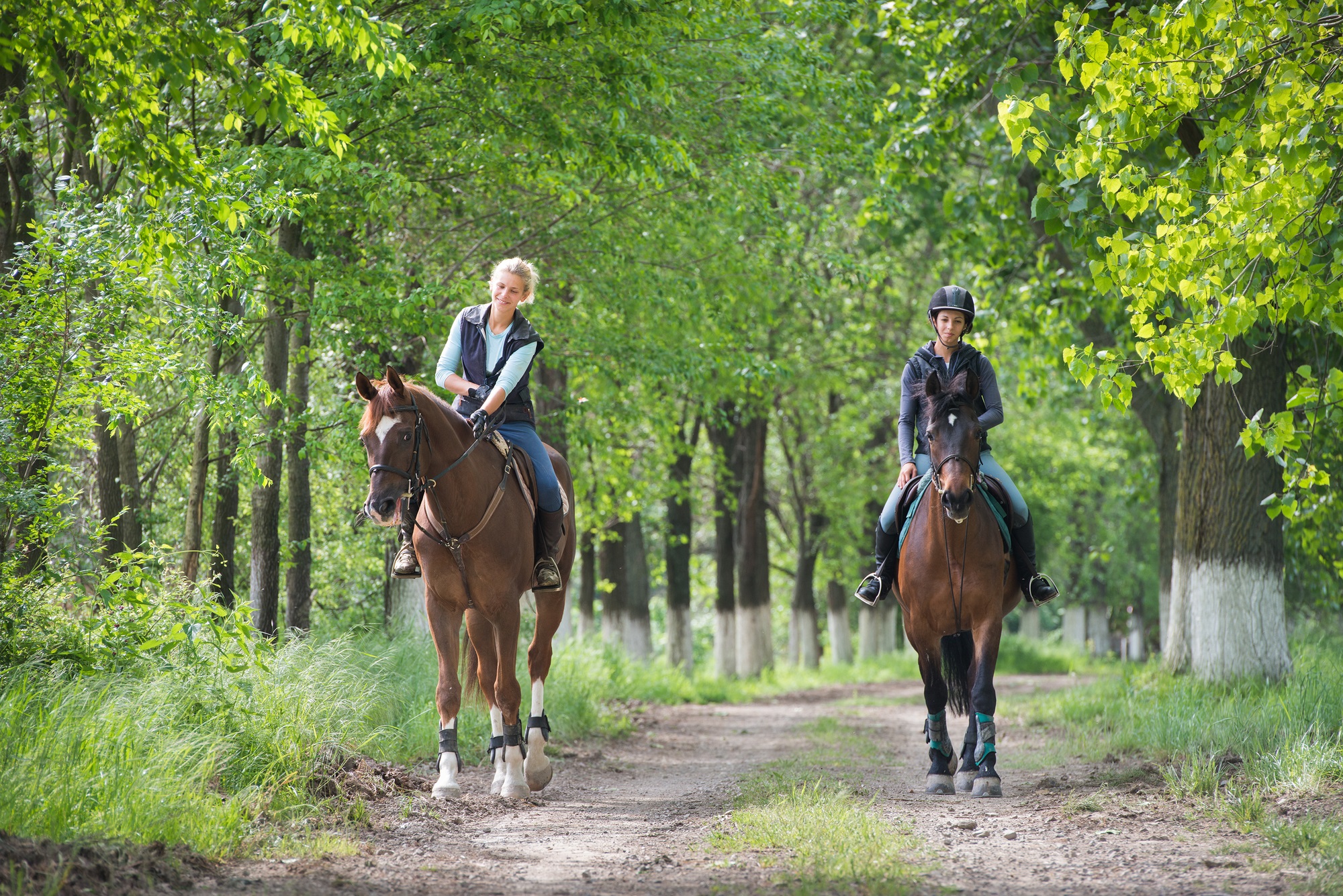 Wanderreiten Ausrüstung: Equipment, Zubehör, Reiter & Pferd