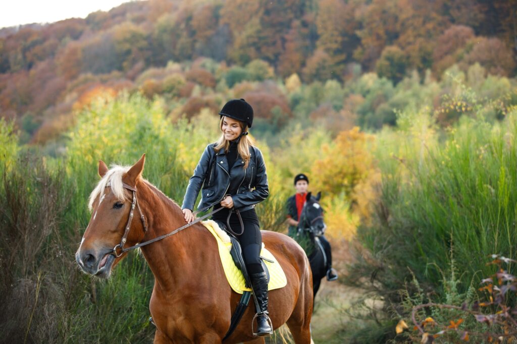 Wanderreiten Ausrüstung: Equipment, Zubehör, Reiter & Pferd